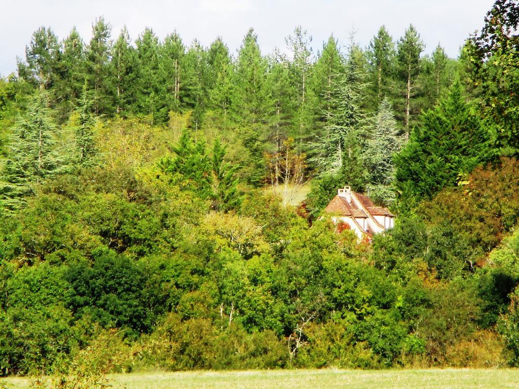 Gites Coeur De Lot Soucirac ภายนอก รูปภาพ